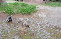IMG20220428105309