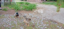 IMG20220428105309