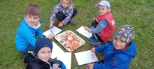 IMG20220428110933