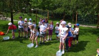 IMG_20250606_094941_1
