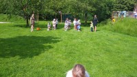IMG_20250606_095010_1