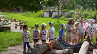 IMG_20250606_095455