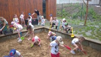 IMG_20250606_101516_1