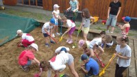 IMG_20250606_101544