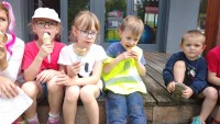 IMG_20250606_103412_1