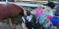 IMG_20211004_092606