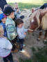 IMG_20211004_092758