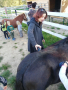 IMG_20211004_093218_BURST001_COVER