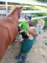 IMG_20211004_093447_BURST002
