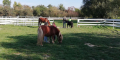 IMG_20211004_103026