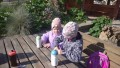 IMG_20250505_085302