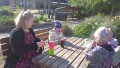 IMG_20250505_085309_1