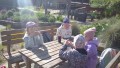 IMG_20250505_090425_1