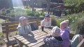IMG_20250505_090427_1