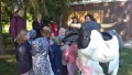IMG_20250505_091615