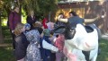 IMG_20250505_091617