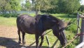 IMG_20250505_091713