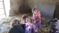 IMG_20250505_092121_1