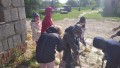 IMG_20250505_092304