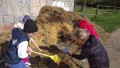 IMG_20250505_092324_1