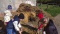 IMG_20250505_092325_1