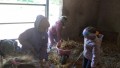 IMG_20250505_092349_1