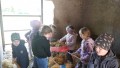 IMG_20250505_092412_1