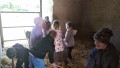 IMG_20250505_092415_1