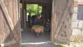 IMG_20250505_092557_1