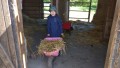 IMG_20250505_092822_1