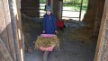 IMG_20250505_092823_1