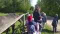 IMG_20250505_092954_1