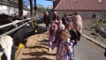 IMG_20250505_095647_1