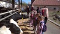 IMG_20250505_095649_1