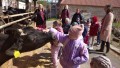 IMG_20250505_095718_1