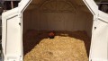 IMG_20250505_095916_1