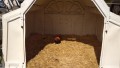 IMG_20250505_095917_1
