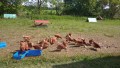 IMG_20250505_101856
