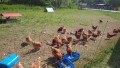 IMG_20250505_101901_1