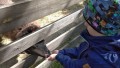IMG_20250505_102813
