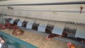 IMG_20250505_103043