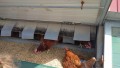 IMG_20250505_103044_1