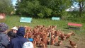 IMG_20250505_103213