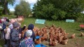 IMG_20250505_103216_1