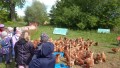 IMG_20250505_103220_1