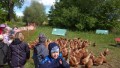 IMG_20250505_103221_1