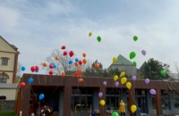 WhatsApp Image 2024-04-05 at 13.43.08