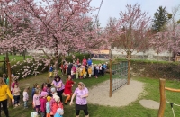 IMG_20240321_105509