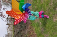 IMG_20240321_110443