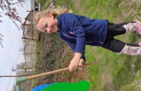 IMG_20240321_110522